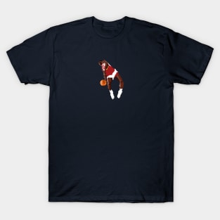 Dominique Wilkins Pixel Dunk T-Shirt